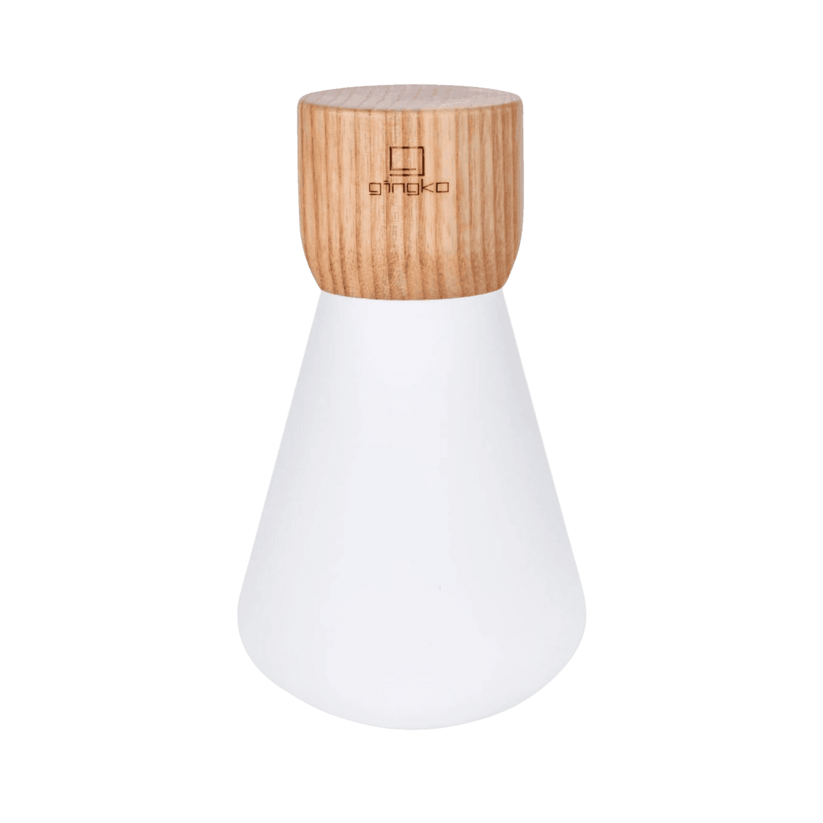 Lumière Pentagon Desk Bulb Large Ash
