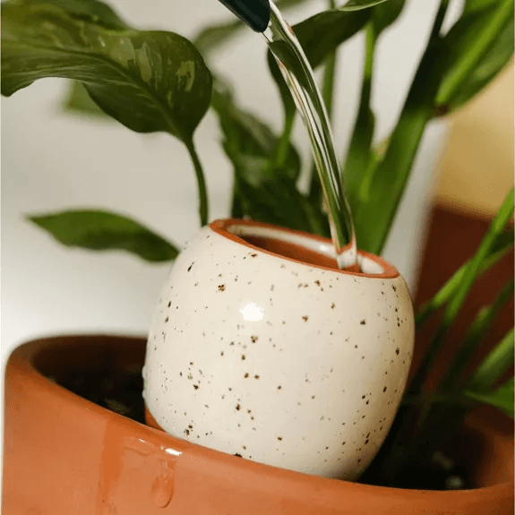 Trio Mini Ollas – Natuurlijk en automatisch bewateringssysteem voor je planten