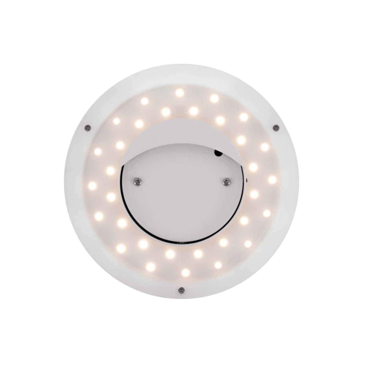 Wall Lights DOT - White