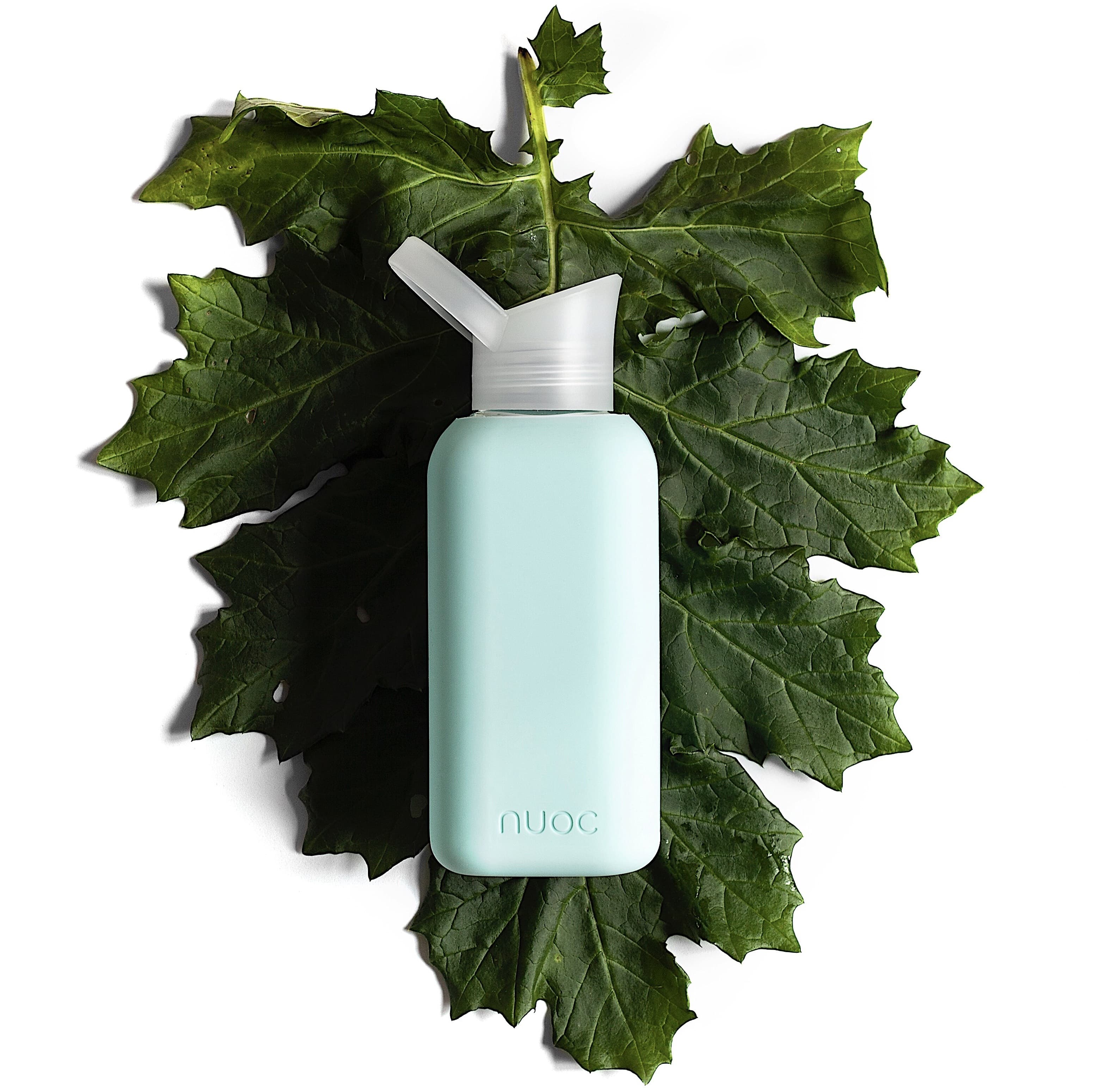 Glazen fles NUOC - Biarritz 500ml