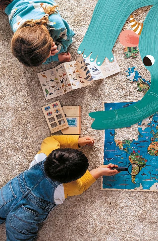 Jeu d'équilibre et d'adresse - 4 ans et + - ALEHOP