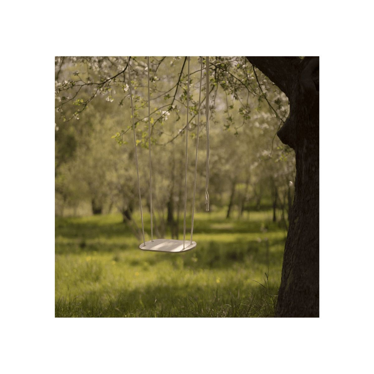 Balançoire en bois - Children Natural Swing