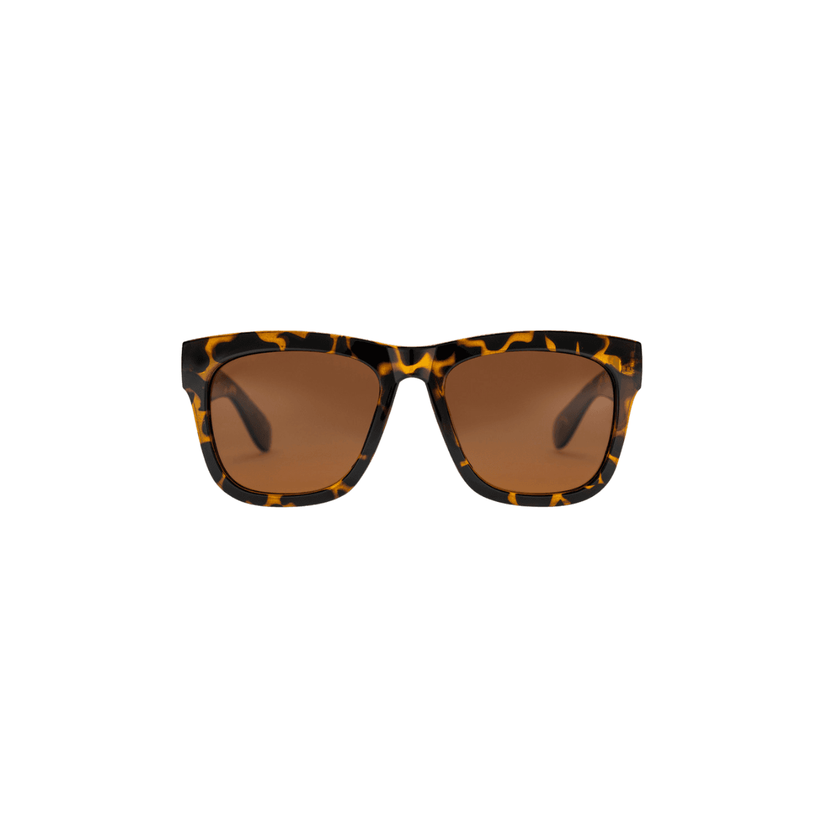 Lunettes de soleil HAZE - Turtle brown/Brown 16131HC