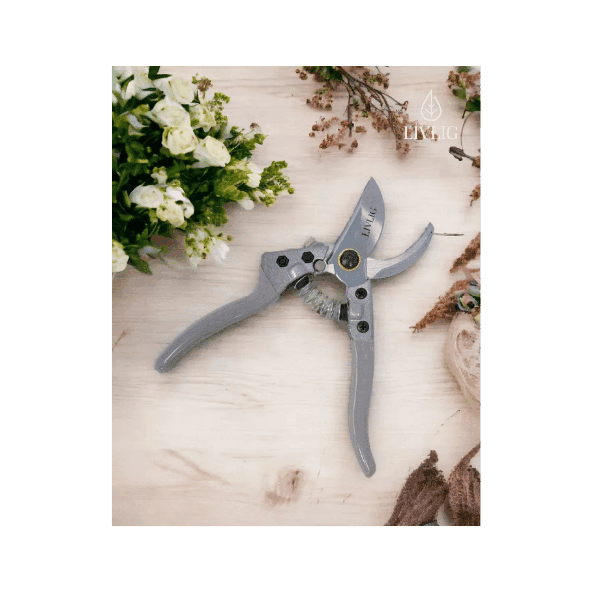 Snoeischaar – Greige