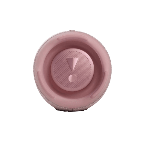 Draagbare Bluetooth-luidspreker Charge 5 - Roze