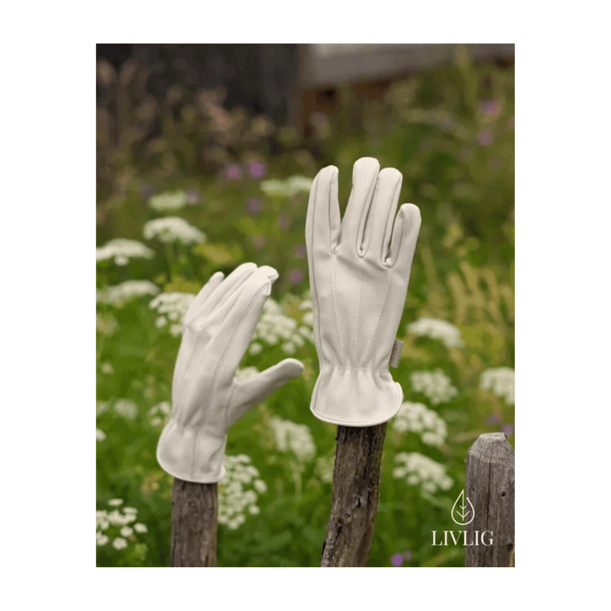 Gants de jardinage en cuir pour femmes - XS/S