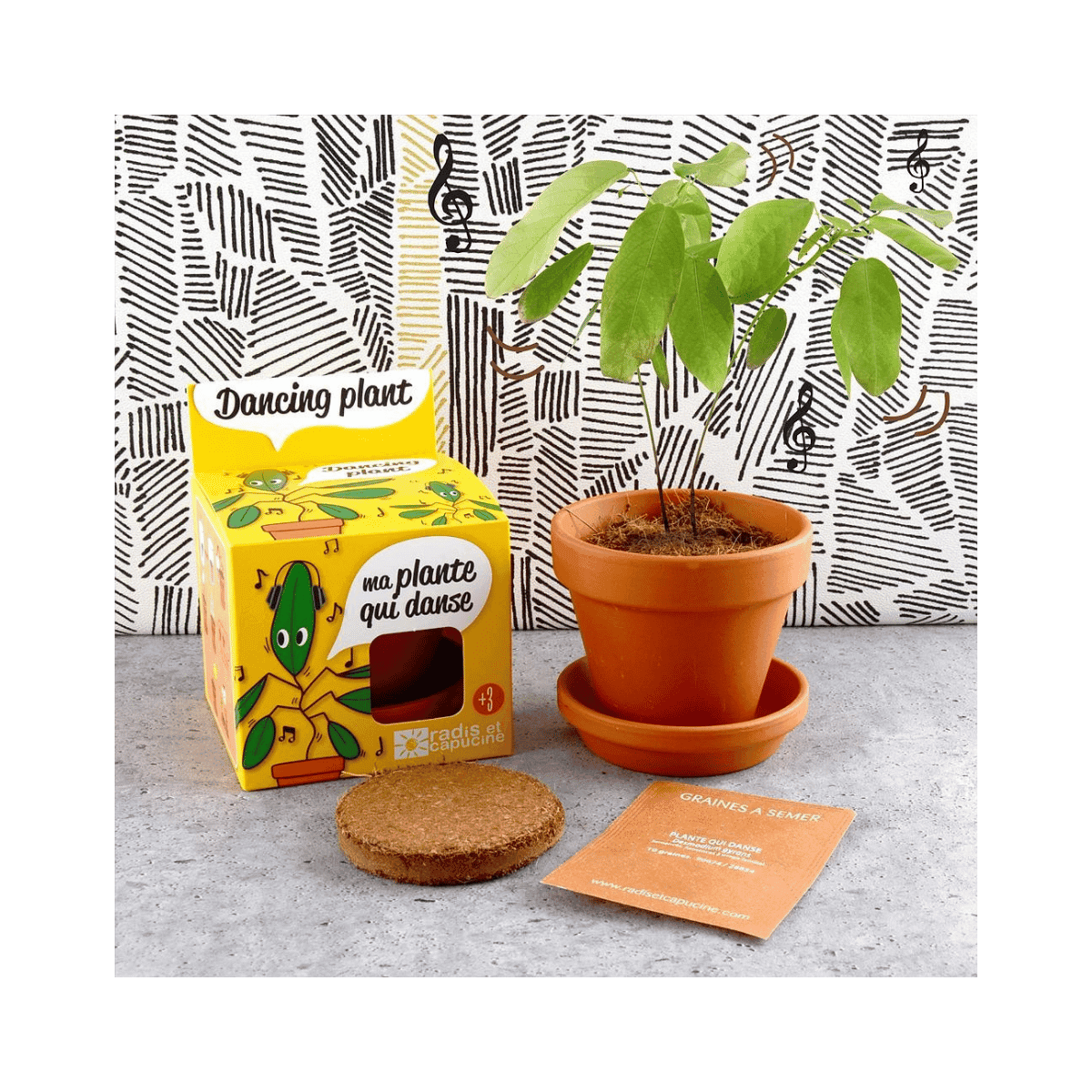 Dansende plantenzaden in een groeipot