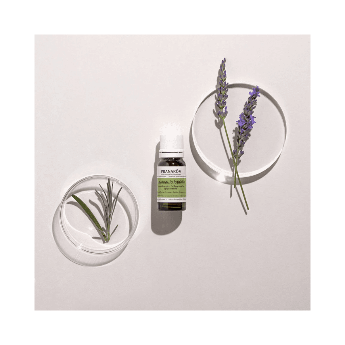 Essentiële olie van lavendel Aspic 10ml