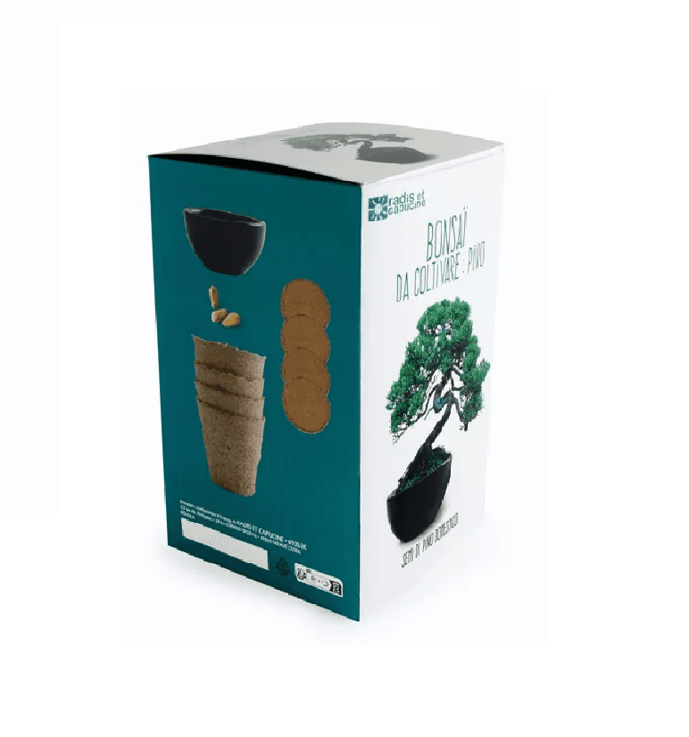 Kit Bonsaï Pin Parasol
