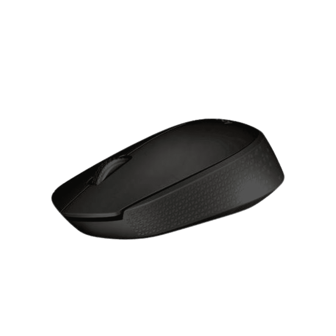 Souris sans fil - B170 WIRELESS MOUSE - Noir