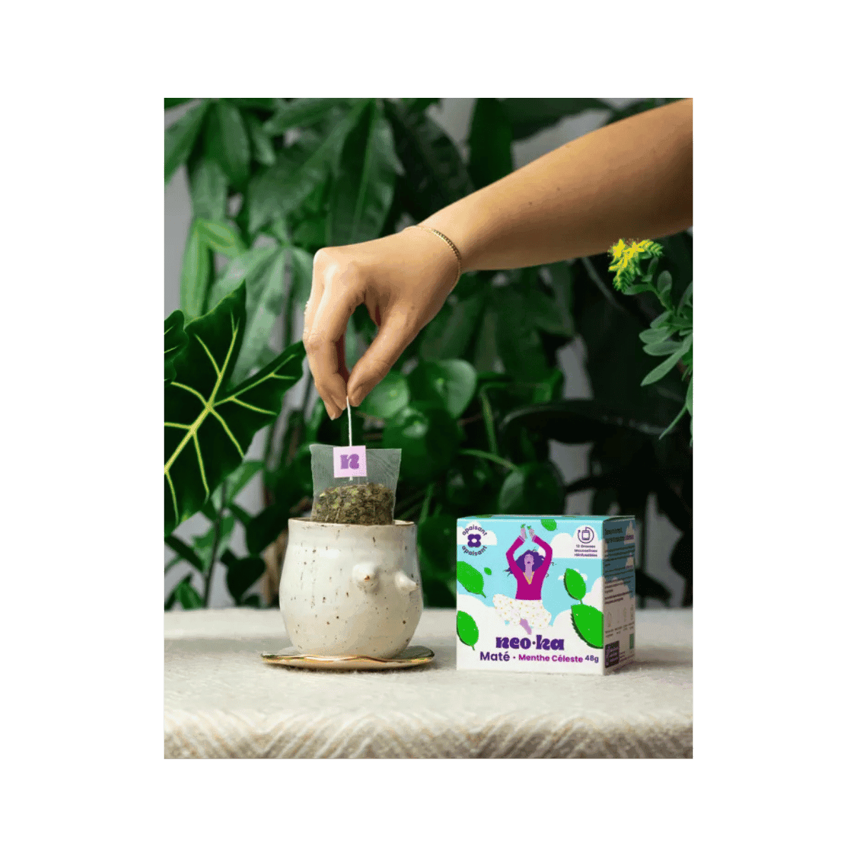 Maté Menthe Céleste BIO 12 zakjes