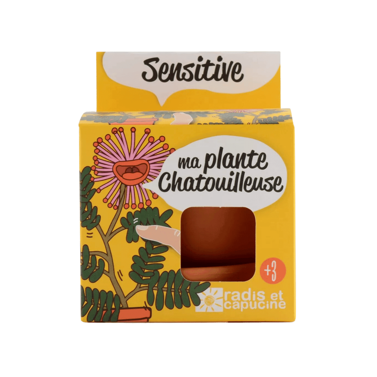 Ma plante chatouilleuse - Plantes extraordinaires