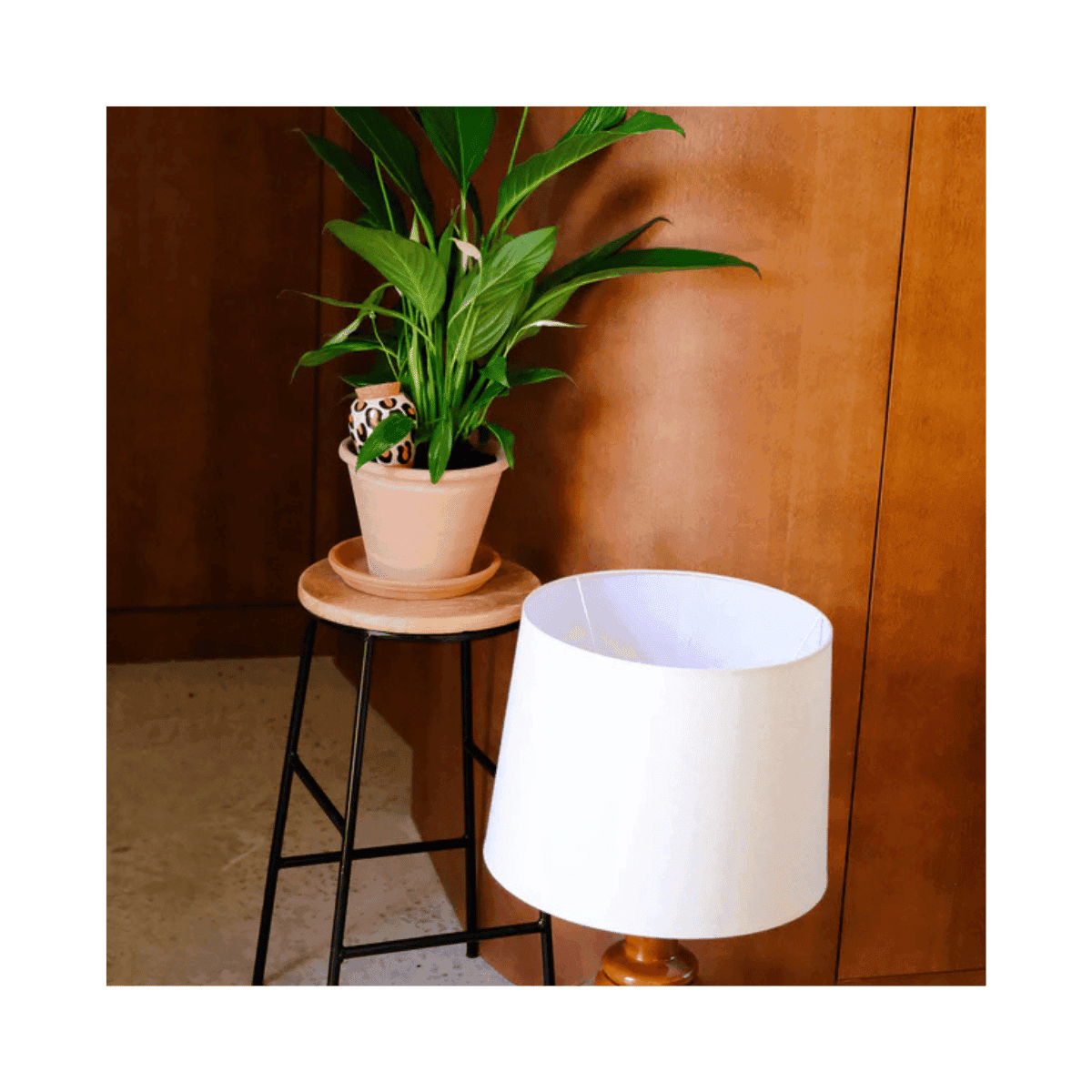 Olla hydratante Pepin - Léopard - Pepin