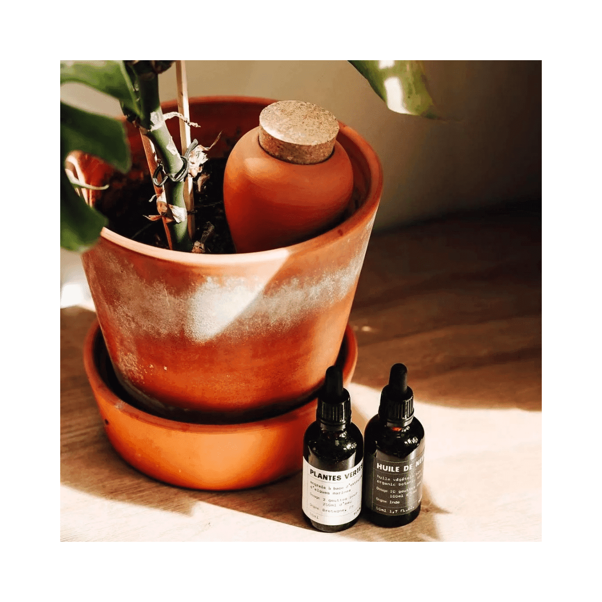 Olla hydratante Pepin - Terracotta