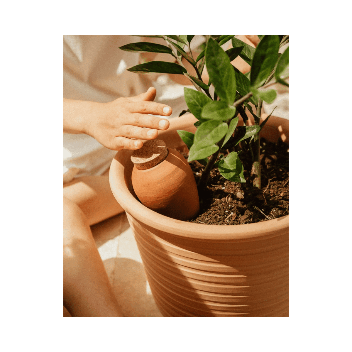 Olla hydratante Pepin - Terracotta