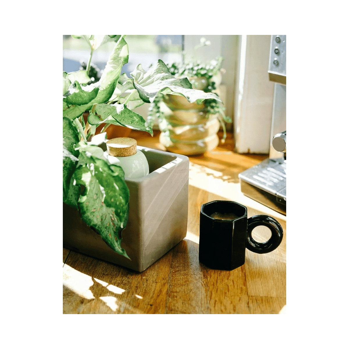 Olla hydratante Pepin - Vert