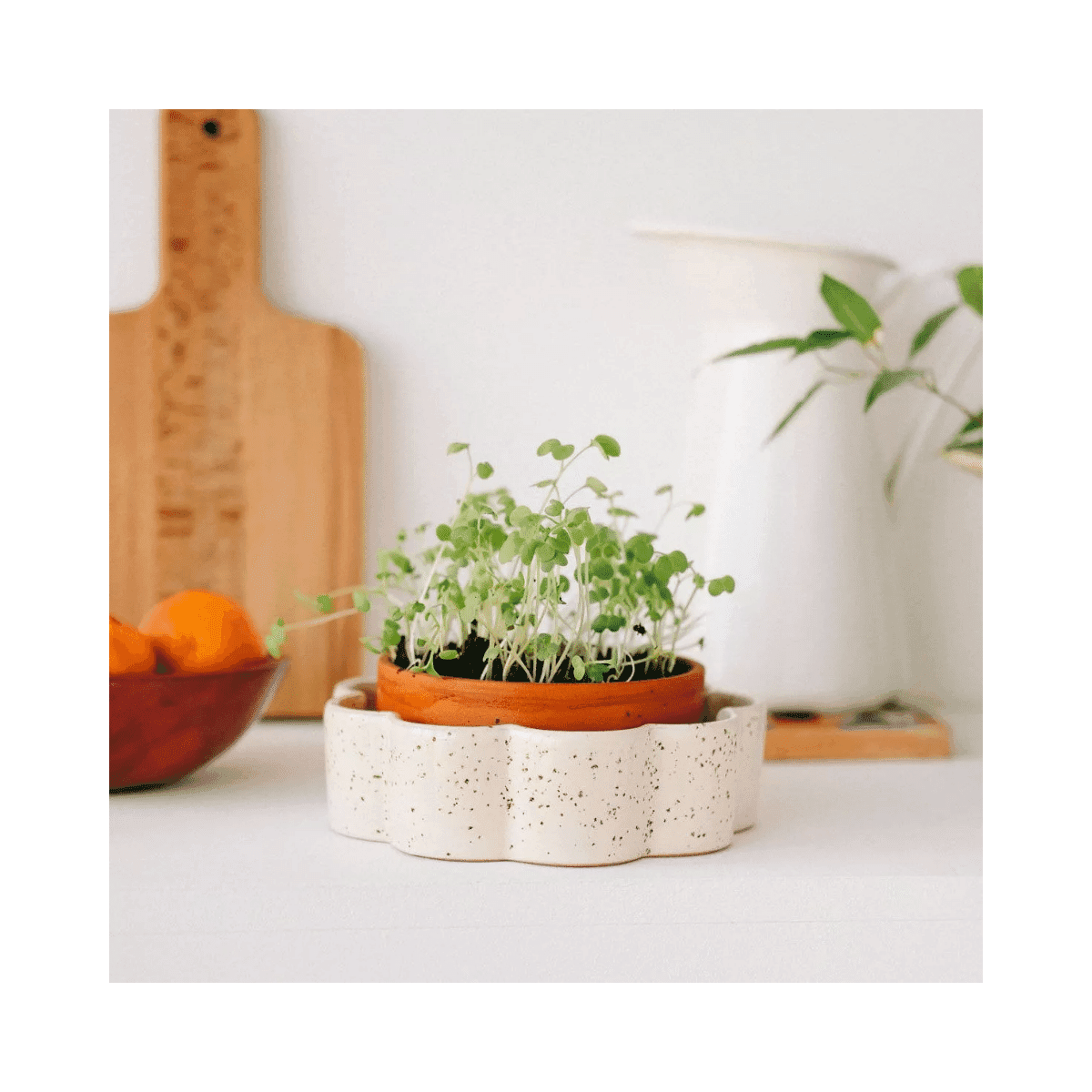 Pot autonome George - Blanc grainé