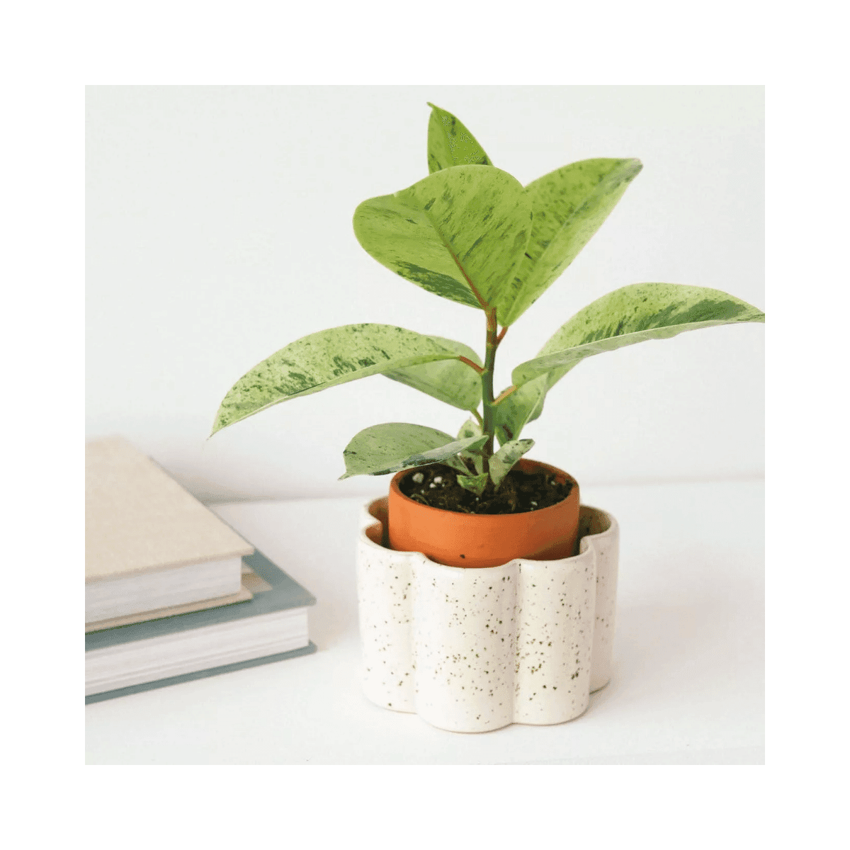 Pot autonome Paula - Blanc grainé