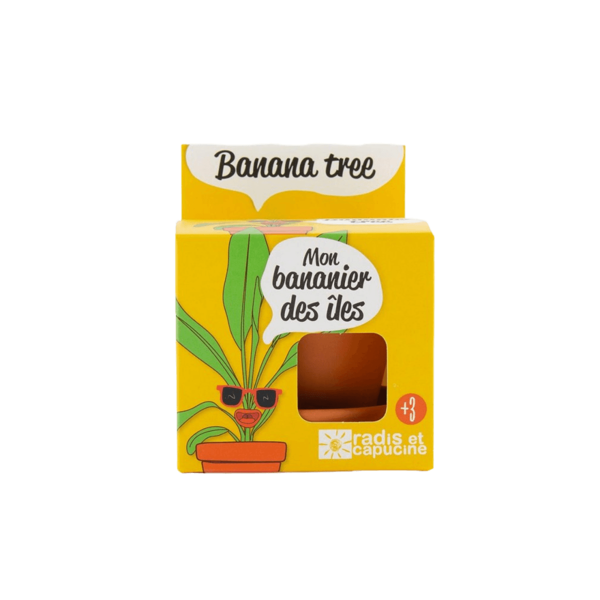 Bananenzaden in een groeipot