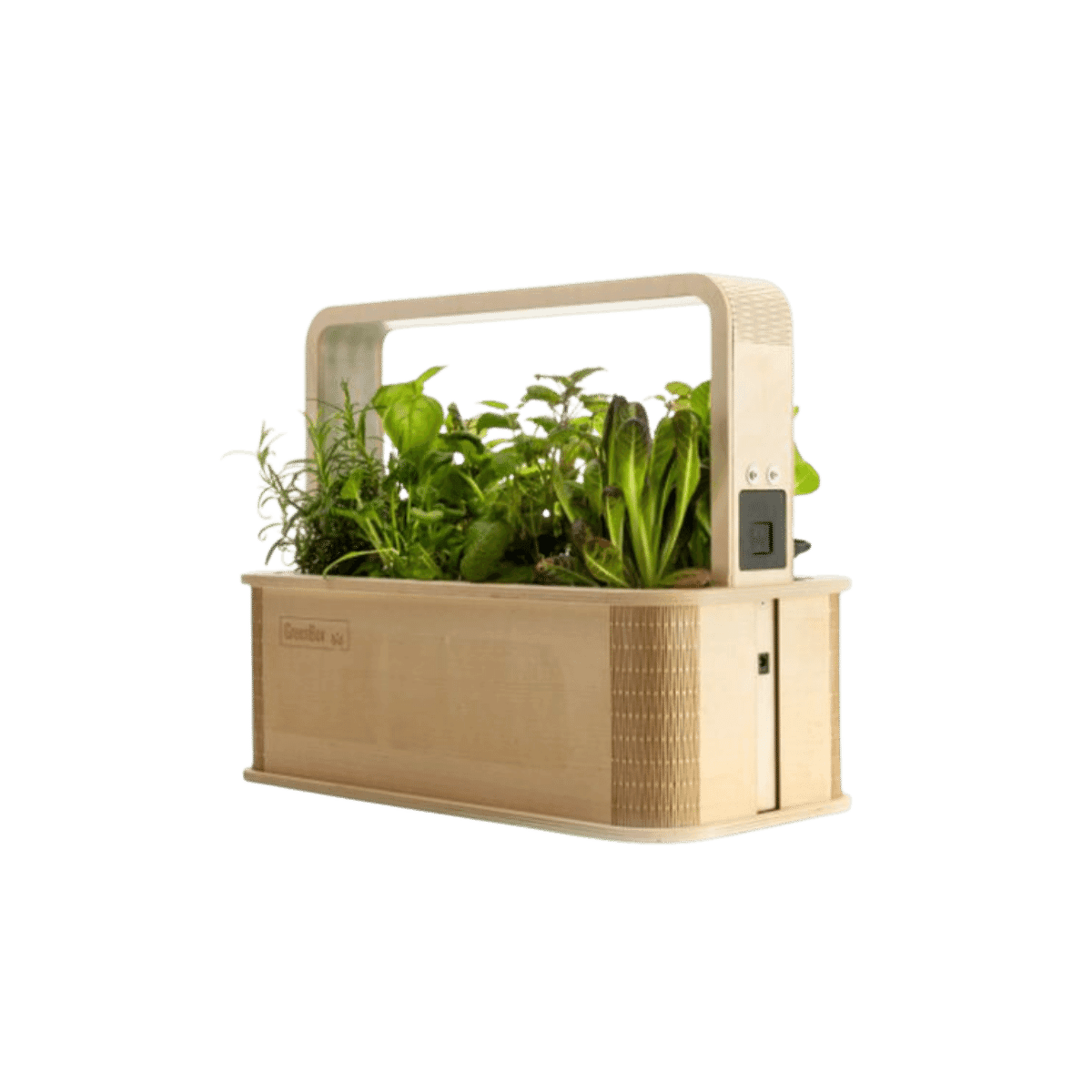 GreenBox - Mini jardin potager d'intérieur intelligent
