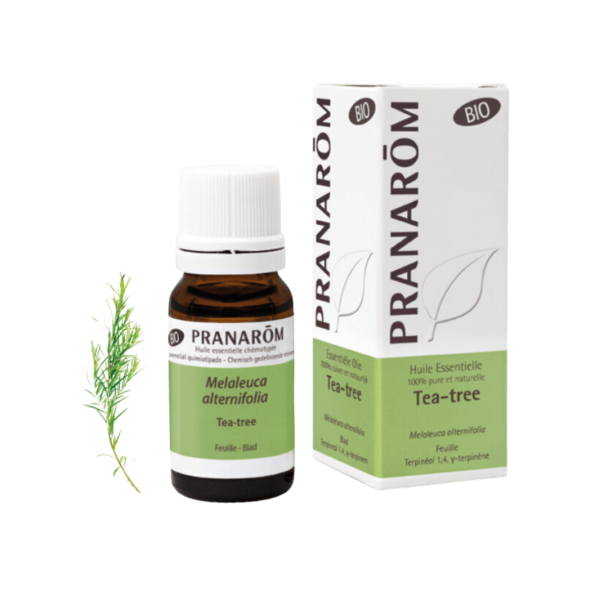 Biologische Tea Tree etherische olie 10ml