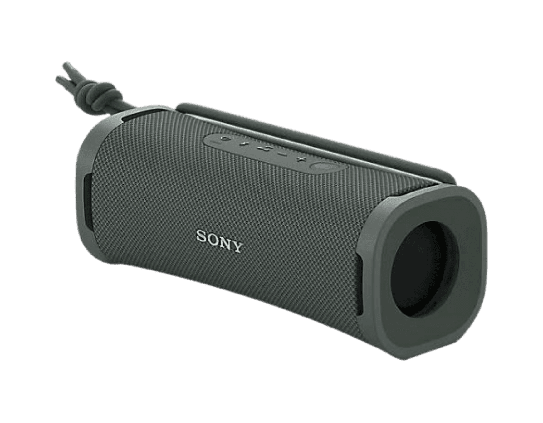 Draagbare luidspreker - ULT Field 1 SRSULT10H - Houtgrijs